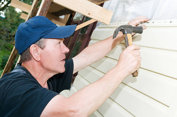 Best Fascia and Soffit Installation  in Marble Hill, MO