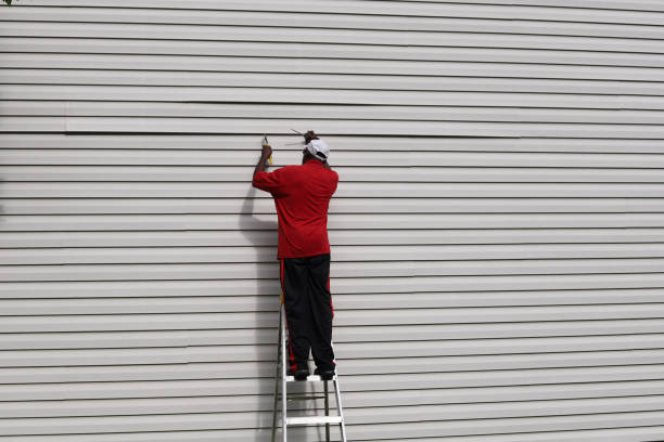 Best Siding Painting and Refinishing  in Marble Hill, MO